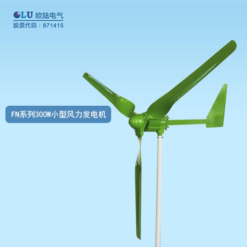 FN系列300W小型風力發電機